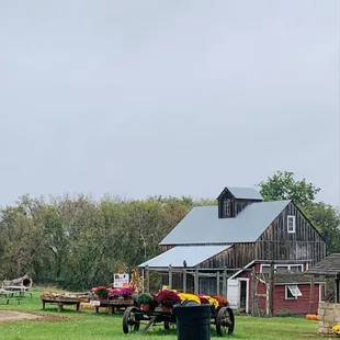 a horse pulling a cart full of hay
