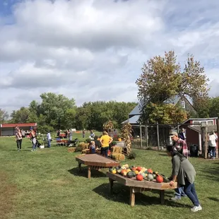 Grandstand with live music