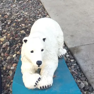 White Bear-in front of White Bear Lake Y