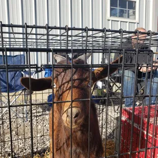 One of the items up for sale