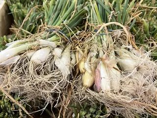 Carmichael's Produce