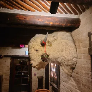 Ye ol' white buffalo head