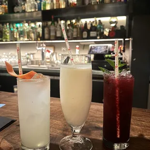 House Paloma, World&apos;s Fair, Art School dropout w/gin