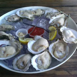 Oysters on the Half Shell