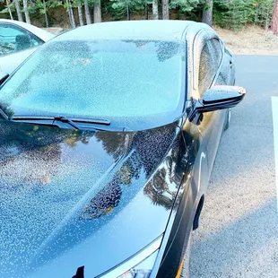 Our car, iced up!