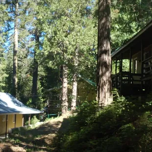 Exterior view of cabins.