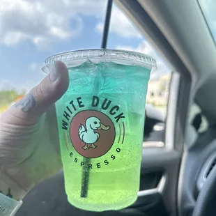 Kiwi lotus w/ blue raspberry