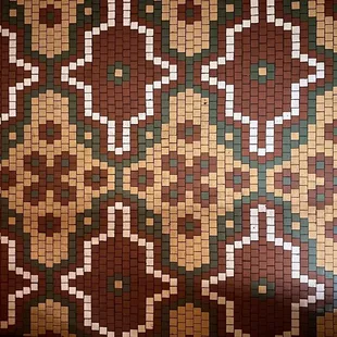 Beautiful tile mosaic floor