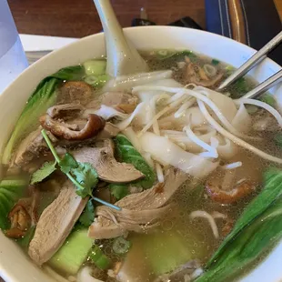 Duck  noodle soup
