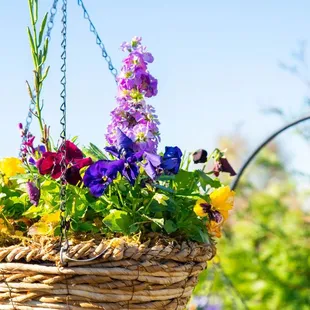 Custom Hanging Baskets