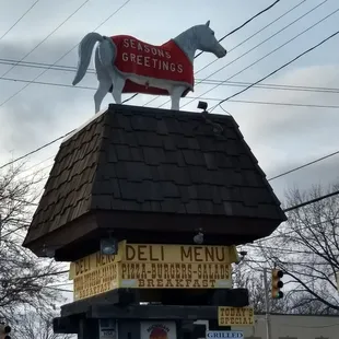 Look for the white horse for great time.