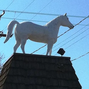 a white horse on top of a building