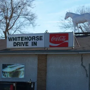 a white horse on the roof