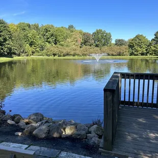 Beautiful Lake Area