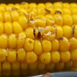 dough desserts, donuts, food