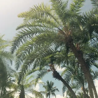 B B.