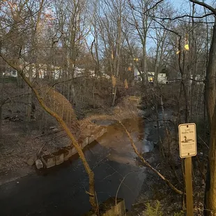 a stream running through a wooded area