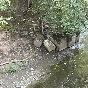 Creek view