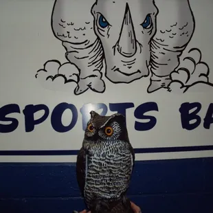 give a hoot..get your RHINO on!