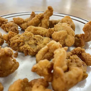 Fried Alligator