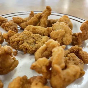 Fried Alligator