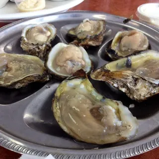Oysters