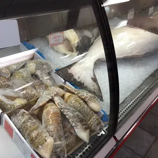 Sea Bass