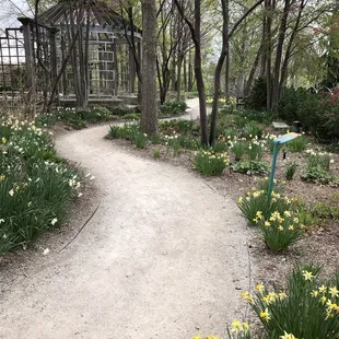 Path in the garden