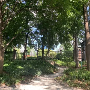 Cityscape from the shade garden