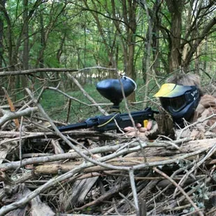 A view of our Jungle playing field