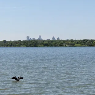 White Rock Lake Park, Dallas