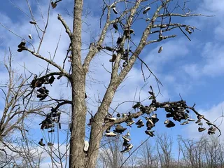 Haspin Acres-Motorcycle Park