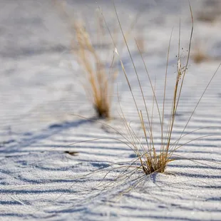 White Sands National Park