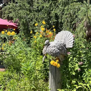 Fun with tons of outside dining. Short drive off 90.  Burgers, dogs, chicken and shakes