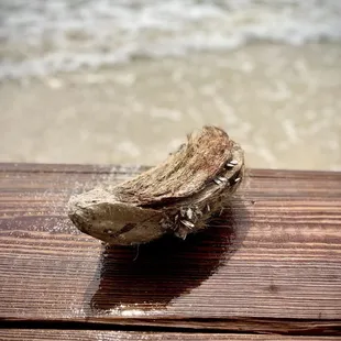 Life's a Beach; don't become a Serf.