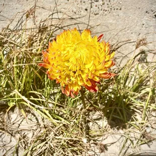 Take note of the world's abstractions by putting away distractions