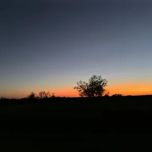 We sat outside to eat and this was our view. 3.28.24