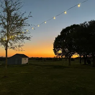We sat outside to eat and this was our view. 3.28.24