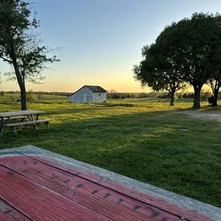 View for dinner. 3.28.24