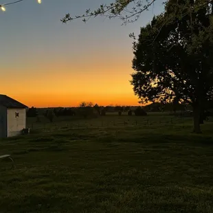 We sat outside to eat and this was our view. 3.28.24