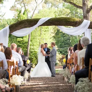 A beautiful prayer tree ceremony