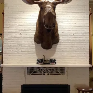 a moose head mounted on a brick wall