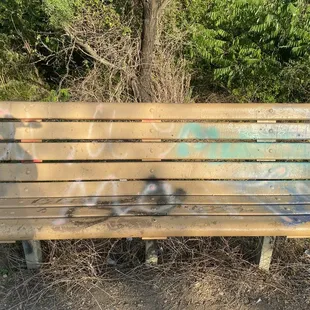 Graffiti on bench
