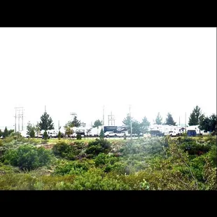 A long distance picture of the 50amp park.  Has dish network, fiber optic WiFi, benches, &amp; some have charcoal grills.