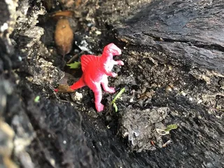 Dave Moore Nature Area