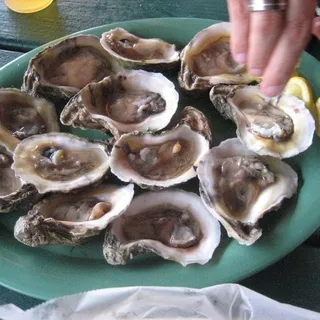 Oysters