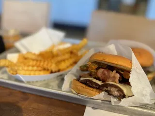 Shake Shack Ice Blocks