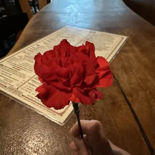 Carnations given to the ladies from the owner
