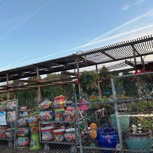 Large indoor and outdoor plant selections