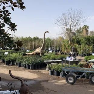 Dinosaur February 2025